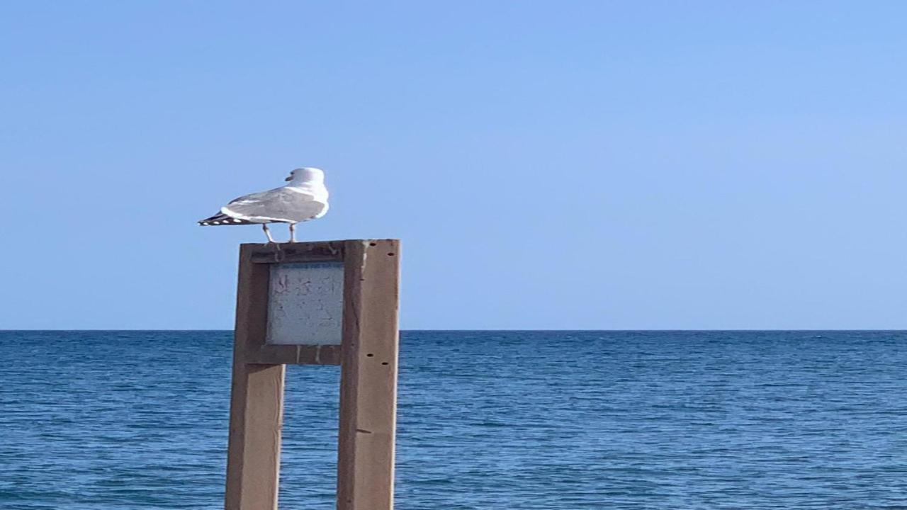 Welooveyou Aqua Lajita Εξωτερικό φωτογραφία